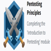 Pentesting Principles Badge